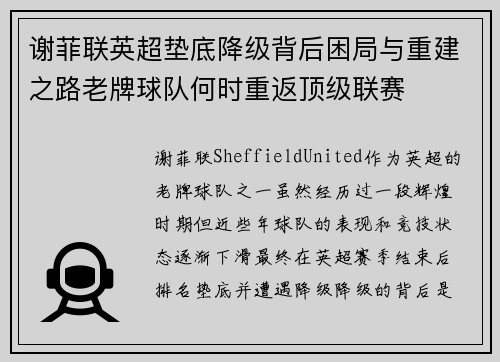 谢菲联英超垫底降级背后困局与重建之路老牌球队何时重返顶级联赛