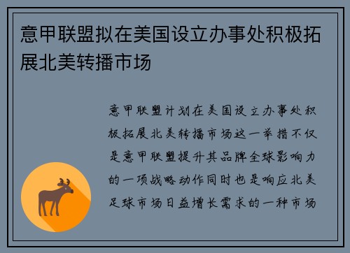 意甲联盟拟在美国设立办事处积极拓展北美转播市场